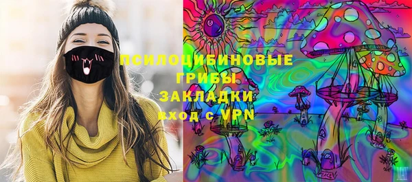 амф Осташков