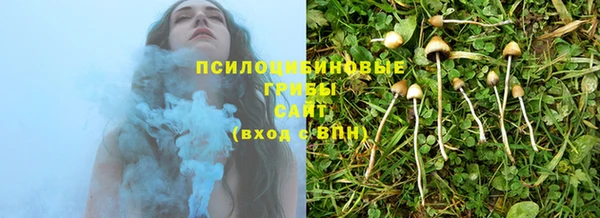 амф Осташков