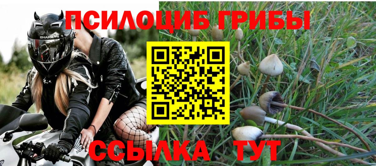 Псилоцибиновые грибы Magic Shrooms  Вход с VPN  Псилоцибиновые грибы Psilocybine cubensis  Апшеронск 