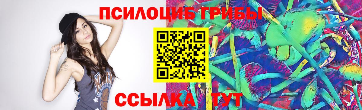 Псилоцибиновые грибы Psilocybine cubensis Апшеронск