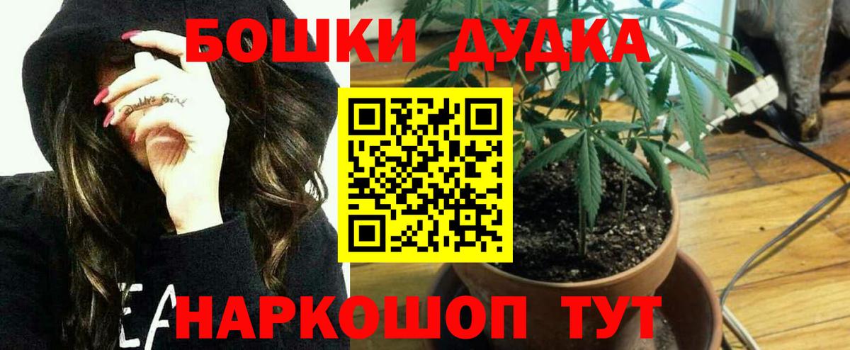 Бошки Шишки AK-47 Апшеронск